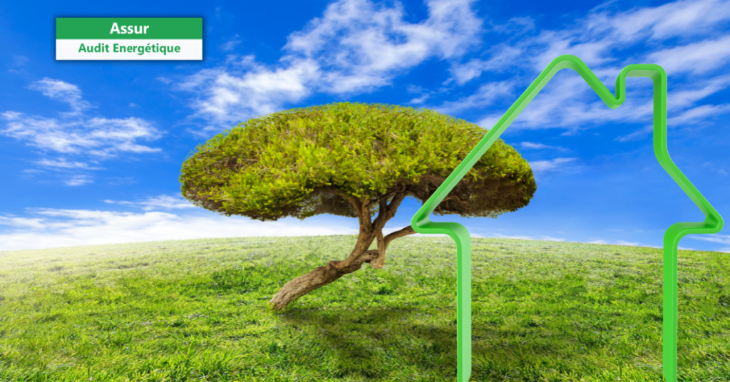 Assur Audit Energétique - www.assur-audit-energetique.com - Decaux Assurances - Assurances Audit énergétique - RCP - RCE - RCD - RCPro - www.decauxassurances.com - Assurance Audit énergétique